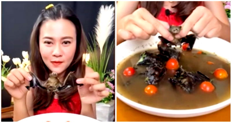 Thai woman faces up to 5 years in prison for eating bat soup in viral video