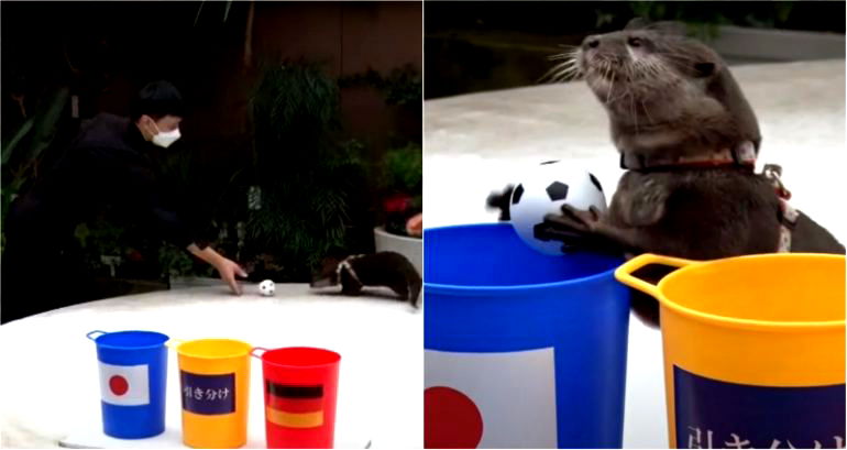 Otter predicts Japan’s win against Germany one day before World Cup match