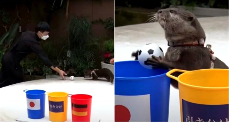 Otter predicts Japan’s win against Germany one day before World Cup match