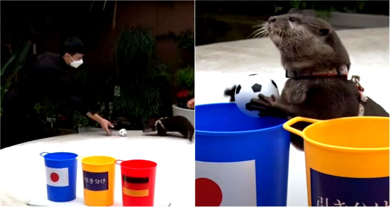 Otter predicts Japan’s win against Germany one day before World Cup match