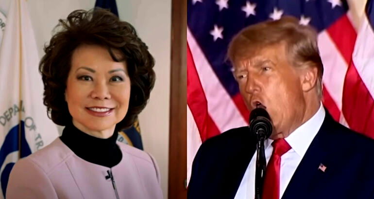 Elaine Chao discourages media from repeating Trump’s racist insult