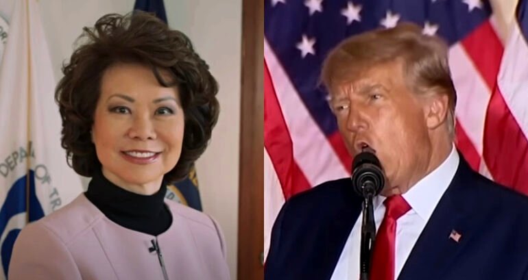 Elaine Chao discourages media from repeating Trump’s racist insult