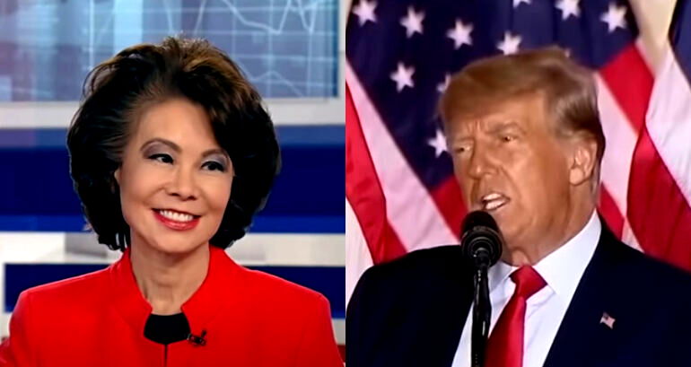 Elaine Chao declines to comment on Trump’s ‘Coco Chow’ attack