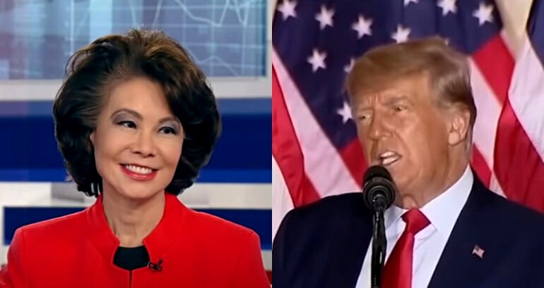 Elaine Chao declines to comment on Trump’s ‘Coco Chow’ attack