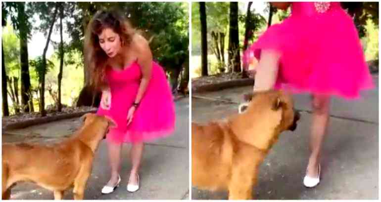Indian influencer faces backlash for kicking dog in Instagram reel