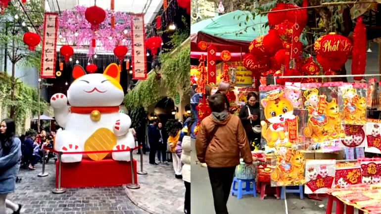 Why Vietnam celebrates the Year of the Cat instead of the Rabbit