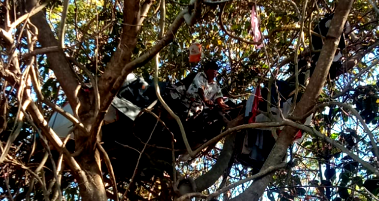 Thai man refuses government help, lives in tree for 3 years