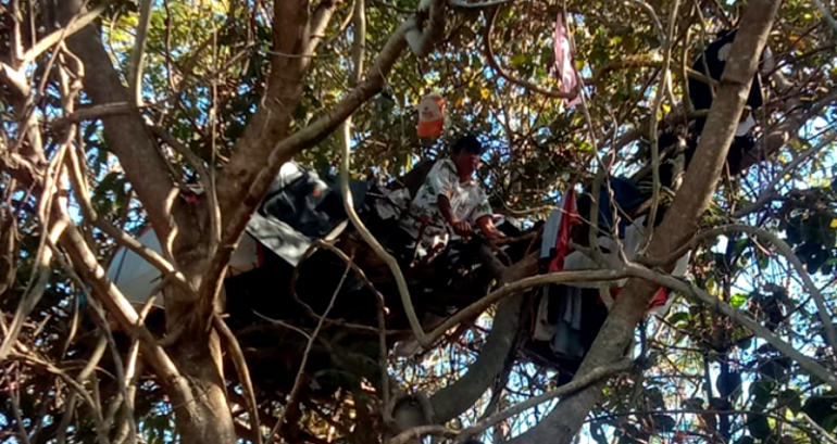 Thai man refuses government help, lives in tree for 3 years