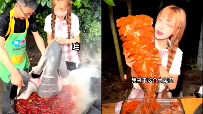 Chinese vlogger fined $18,500 for eating an endangered baby shark