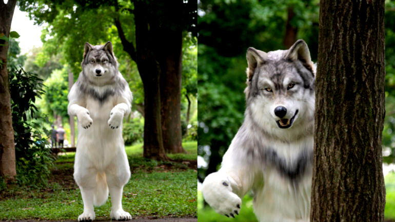 Man spends almost $23,000 on realistic costume to fulfill his dream of becoming a wolf