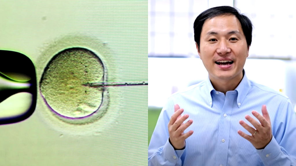 Chinese scientist behind world’s first gene-edited babies shares children’s status