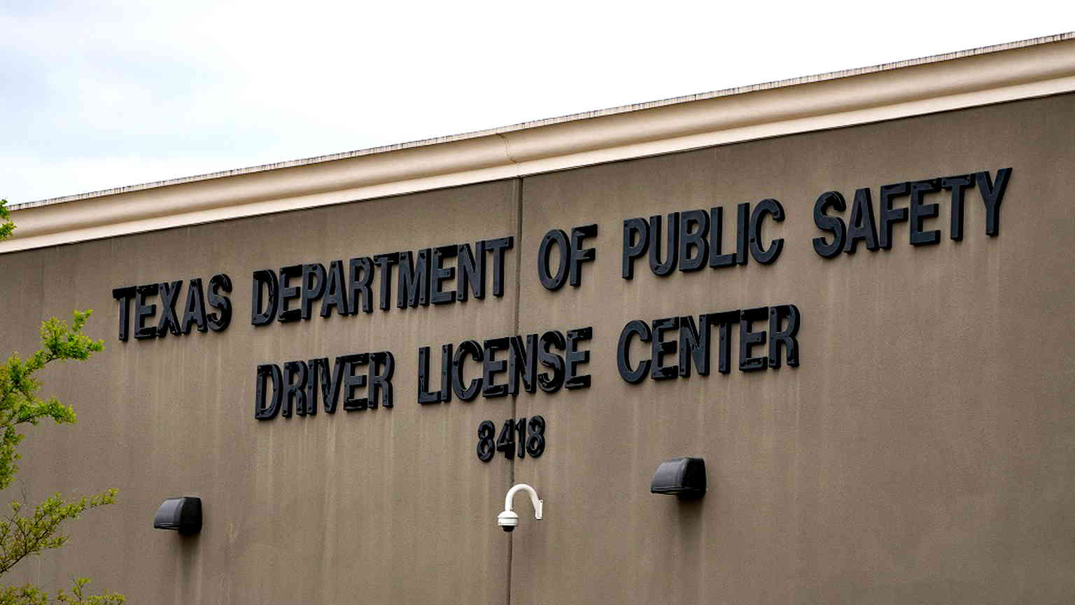 Thousands of Asian Texans targeted by Chinese crime group in driver’s license breach
