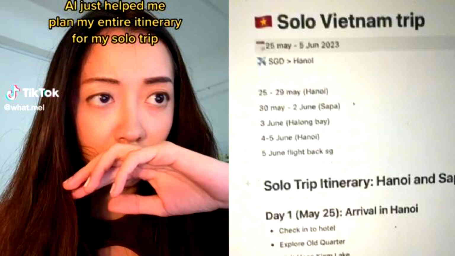 Woman’s AI-generated itinerary for 12-day solo Vietnam trip goes viral on TikTok