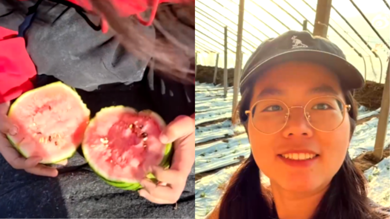 Chinese woman pursues happiness by leaving high-paying job to become watermelon farmer