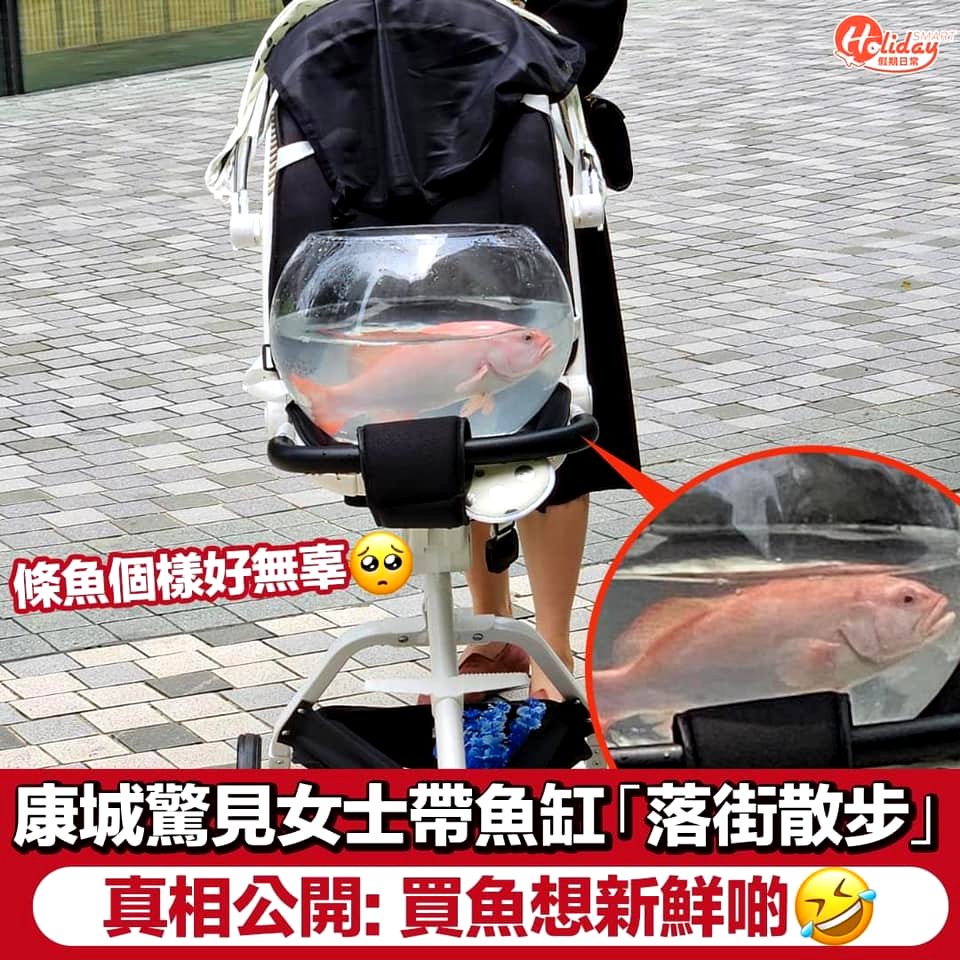 fish stroller nextshark