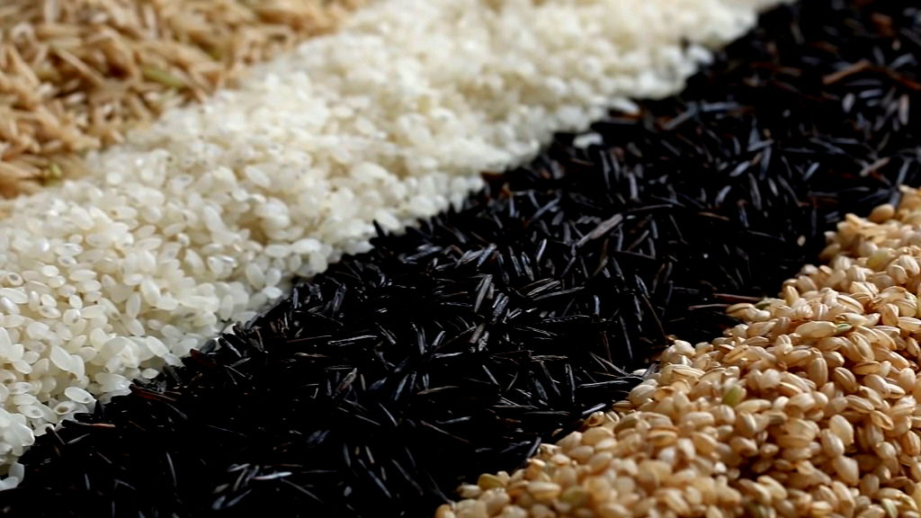 The grain of life: How rice is cooked in 6 different Asian countries