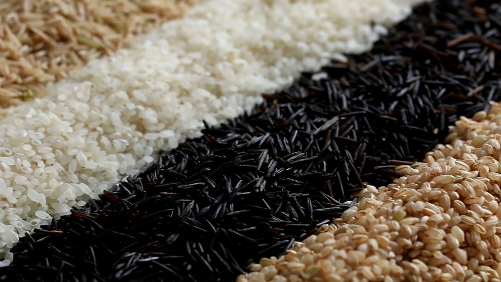 The grain of life: How rice is cooked in 6 different Asian countries