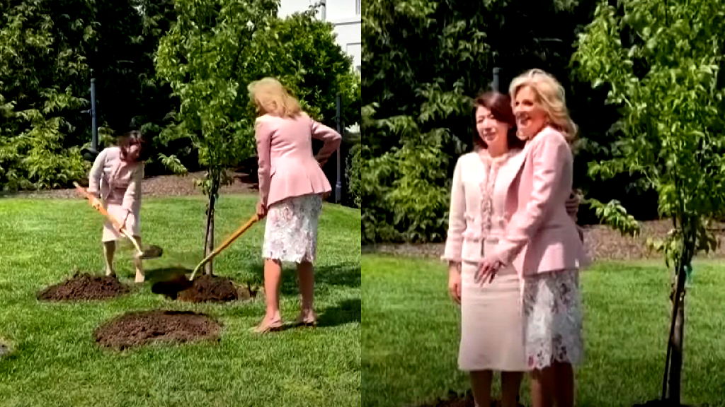 First ladies Jill Biden and Yuko Kishida plant sakura tree to mark US-Japan friendship