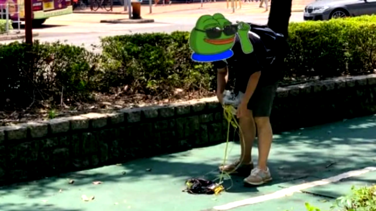 Hong Kong man is photographed ‘walking’ his ‘pet’ crabs