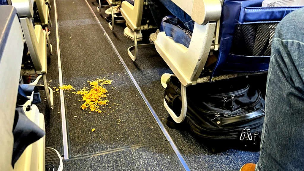 Southwest flight delayed as attendant loses it over ‘some kind of Asian fried rice’