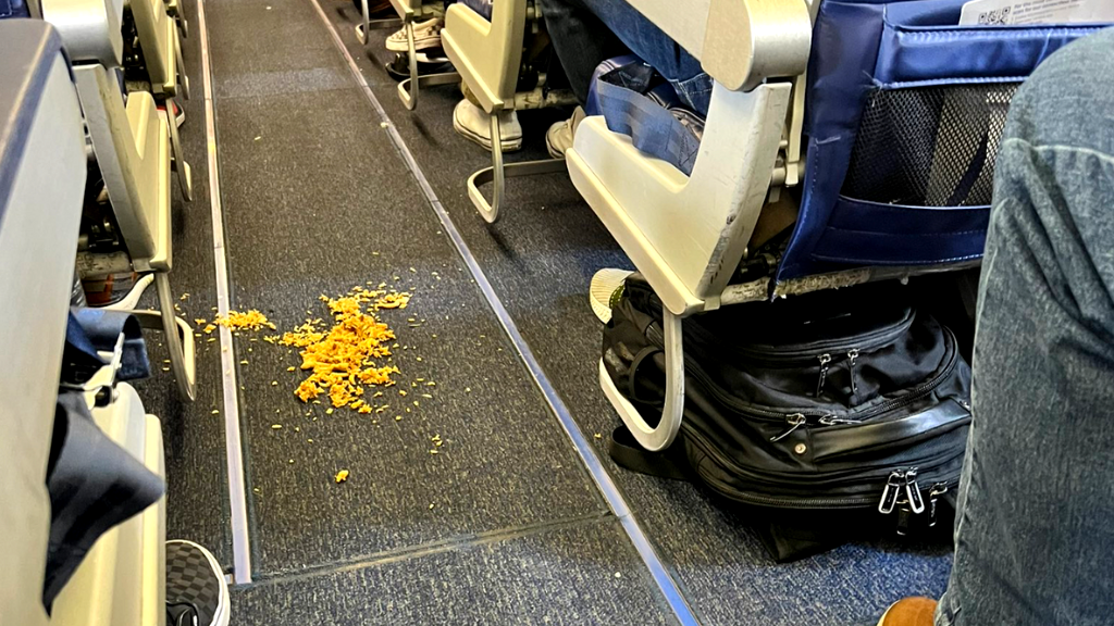 Southwest flight delayed as attendant loses it over ‘some kind of Asian fried rice’