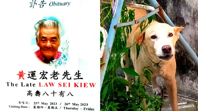 Elderly Malaysian man dies protecting his beloved dog from local pound catchers