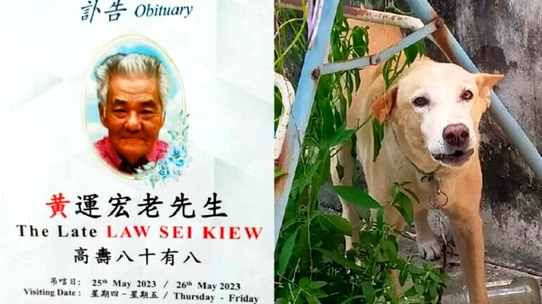 Elderly Malaysian man dies protecting his beloved dog from local pound catchers