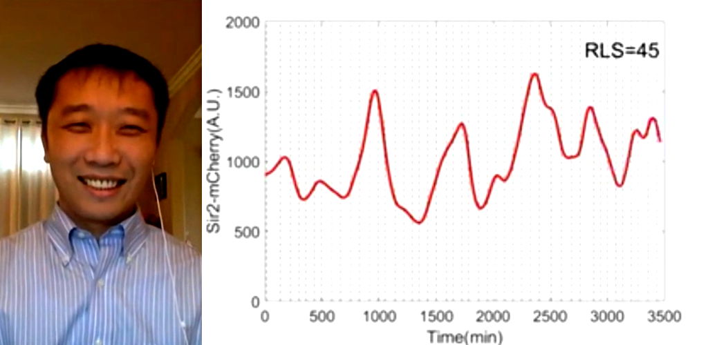 Chinese researchers at UCSD help discover way to potentially increase lifespan by 82%