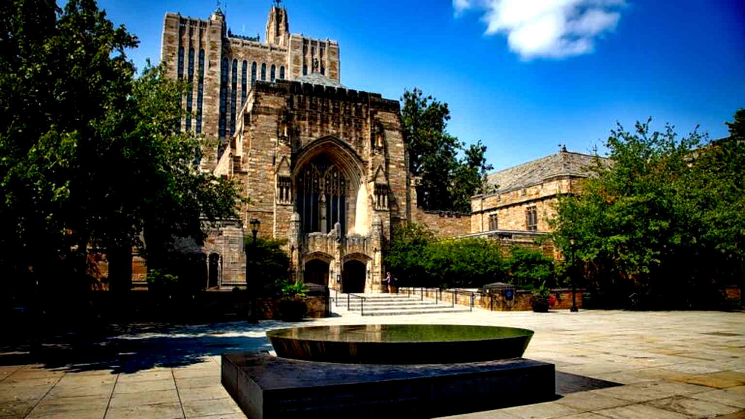 Most Fortune 500 CEOs did not attend Ivy League schools, data shows