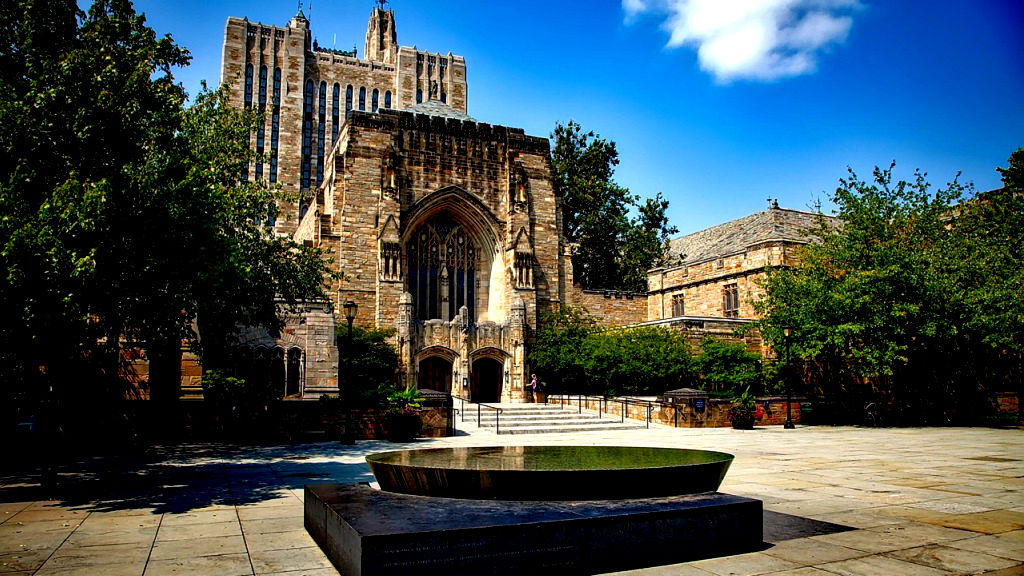 Most Fortune 500 CEOs did not attend Ivy League schools, data shows