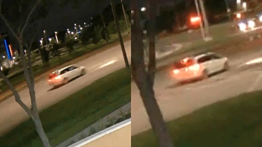 Man wanted for shooting at woman in Florida road rage incident