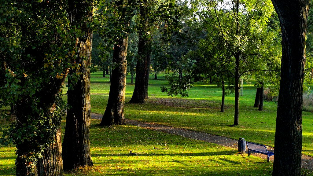 People living near green spaces are 2.5 years biologically younger, study finds