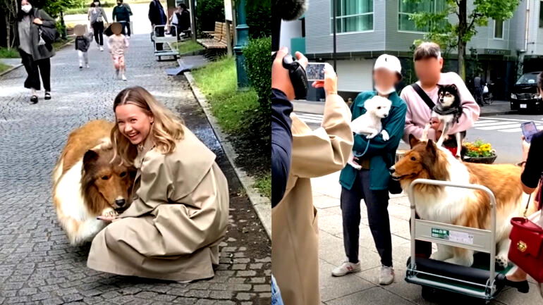 Japanese man who spent $16K to become a ‘dog’ shares video of 1st public walk