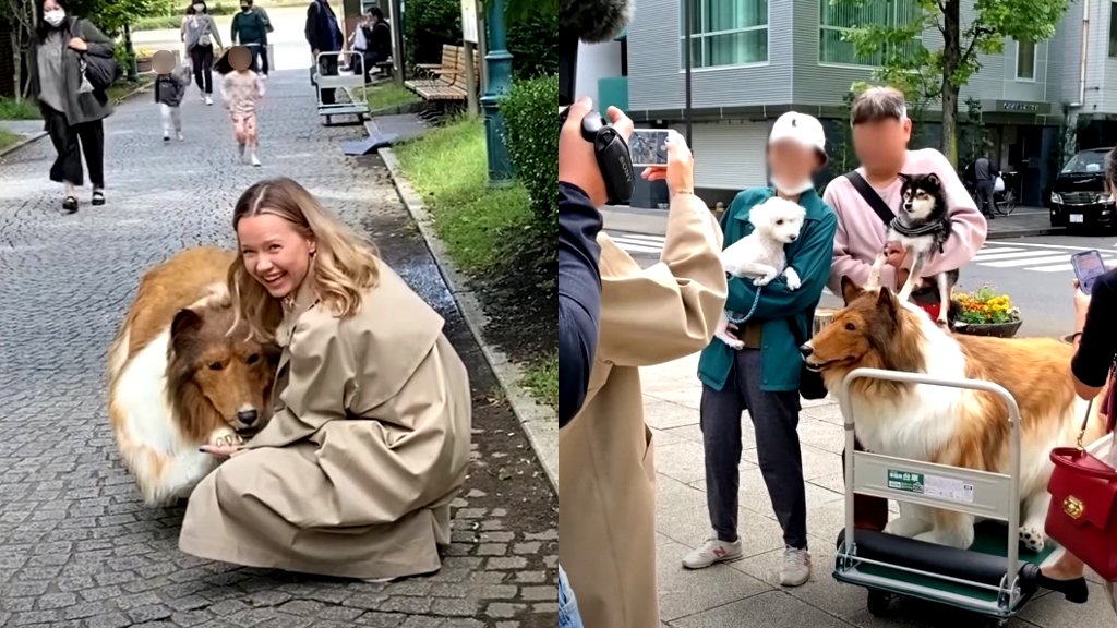 Japanese r shocks public with hyperrealistic dog costume