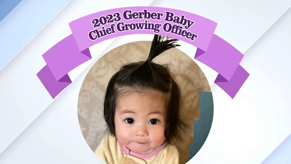 Gerber kid best sale