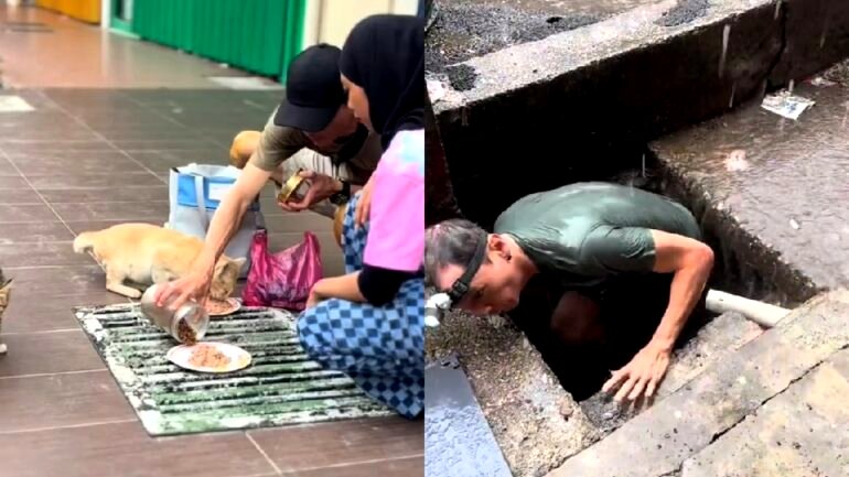 Watch: Man braves narrow street drain to save kittens during heavy rain in Malaysia