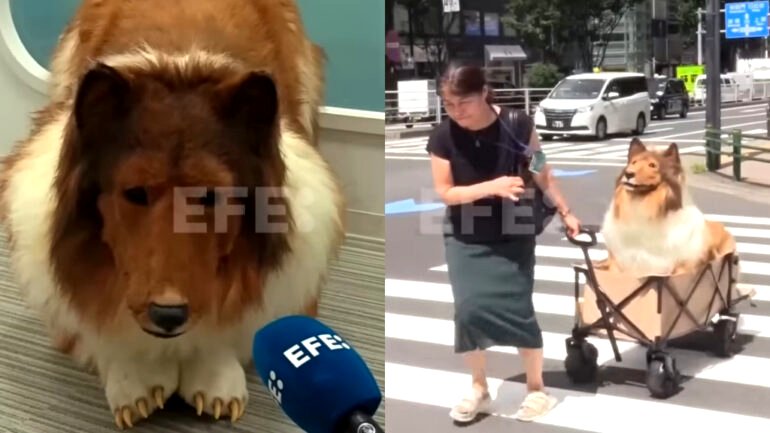 Japanese man who spent $16,000 to become a ‘dog’ shares first interview