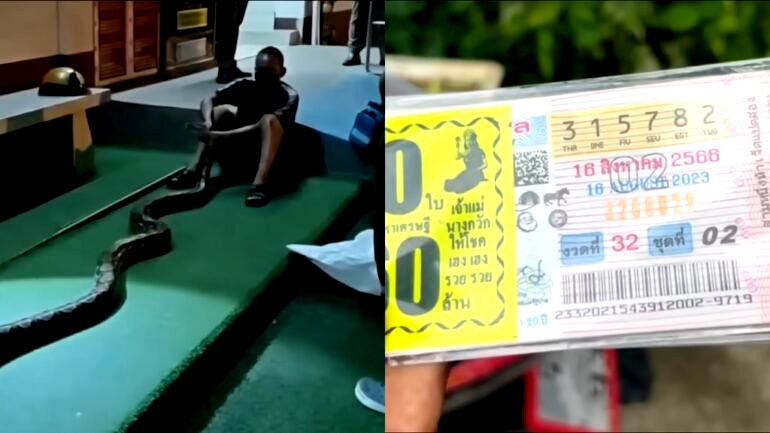 Thai security guard successfully fends off python, proceeds to win $85K lottery after