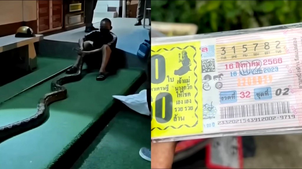 Thai security guard successfully fends off python, proceeds to win $85K lottery after