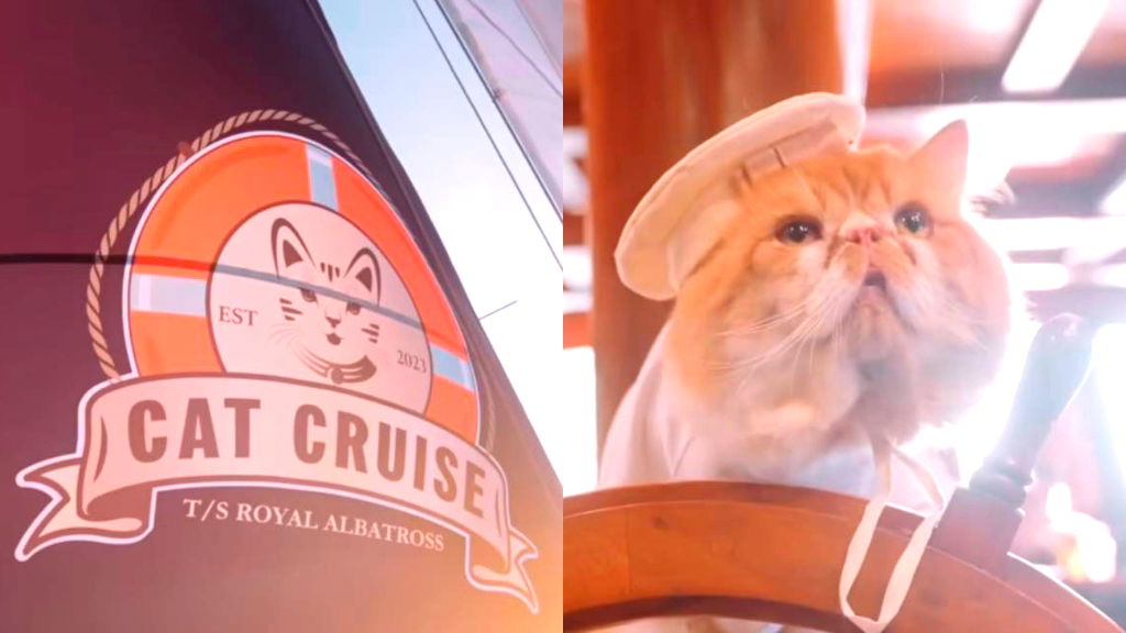 Singaporean company launches pawsitively luxurious cruises for cats and their humans