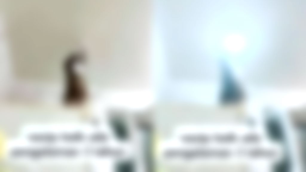Viral video shows cat in Malaysia ‘fixing’ a light bulb
