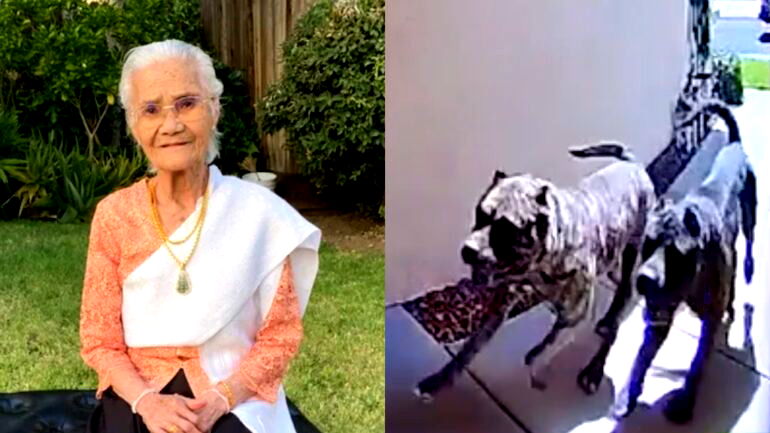 93-year-old great-grandmother mauled to death by neighbor’s dogs in California