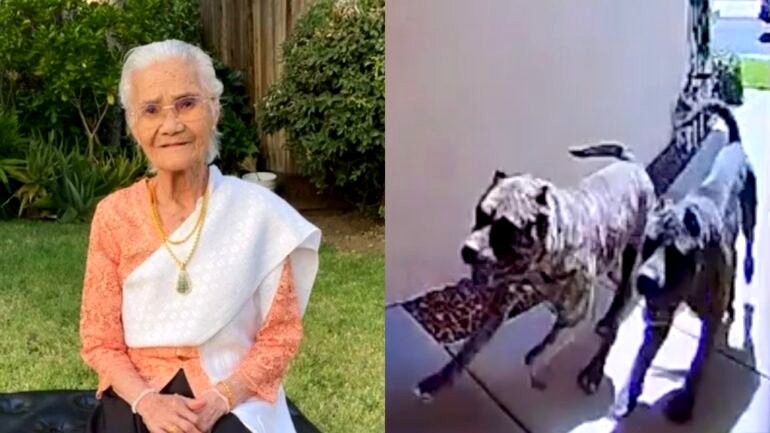 93-year-old great-grandmother mauled to death by neighbor’s dogs in California