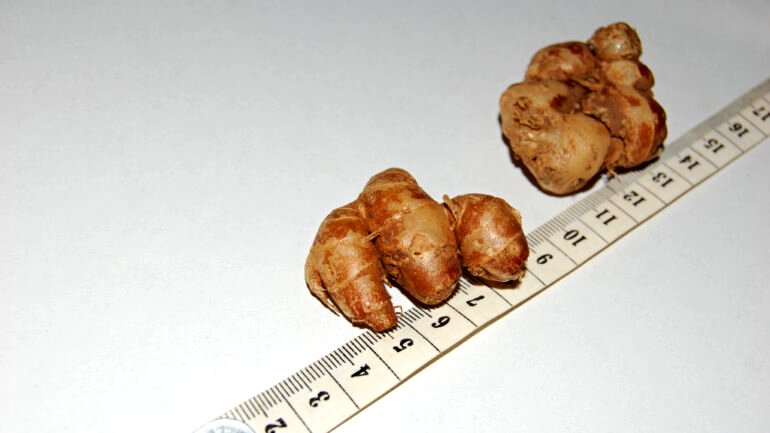Ginger from Southeast Asia can fight cancer, study finds
