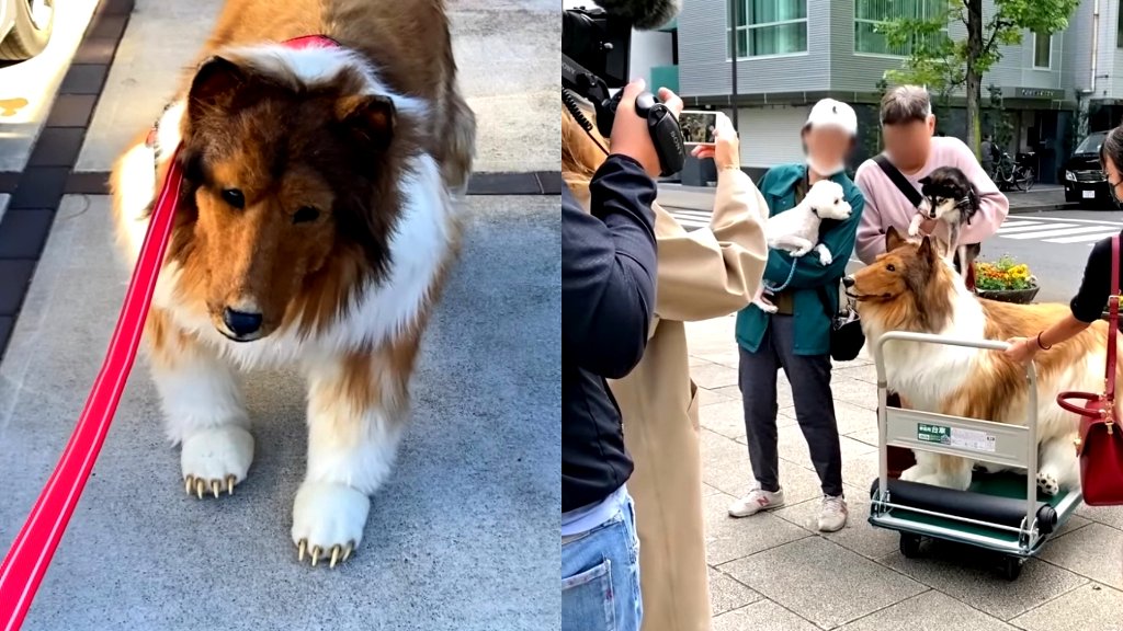 Japanese man who spent $16K to become a ‘dog’ says he wants to become a movie star