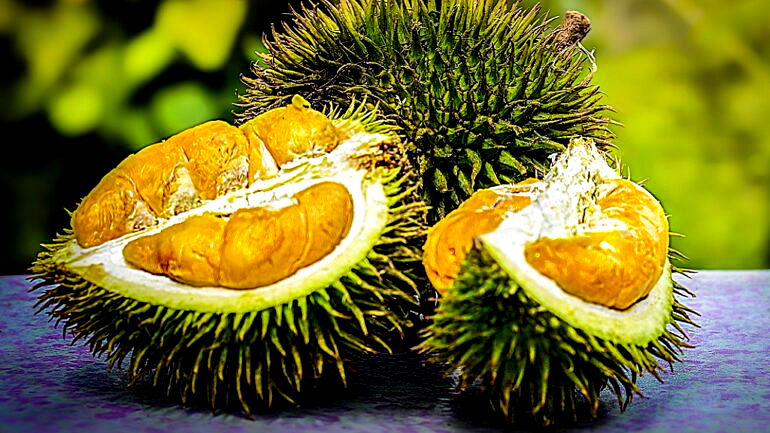 Singaporean woman loses $81,000 in life savings after answering fake durian tour ad