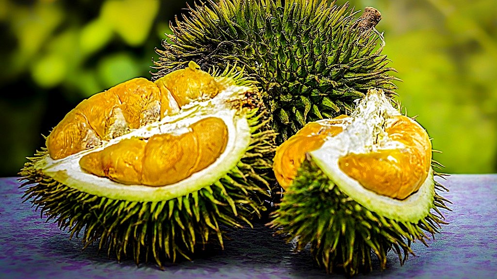Singaporean woman loses $81,000 in life savings after answering fake durian tour ad