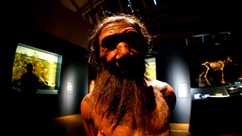 New study reveals why Europeans have less Neanderthal DNA than East Asians