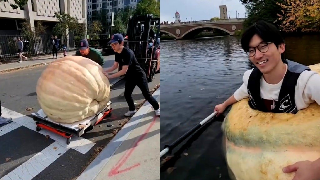 Watch: Harvard student crosses river in 1500-pound pumpkin to raise money for student lab