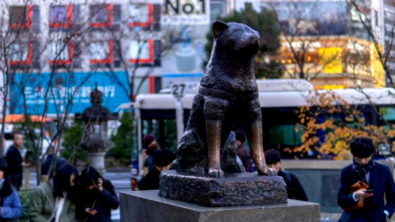 Hachikō, the loyal dog who waited for his owner everyday for 10 years, turns 100